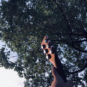 12岁童女免费观看完整版 战狼2同类型
